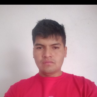 Carlos Alberto Huari villca